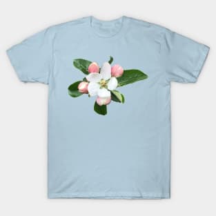 New Apple Blossom T-Shirt